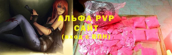 хмурый Инсар
