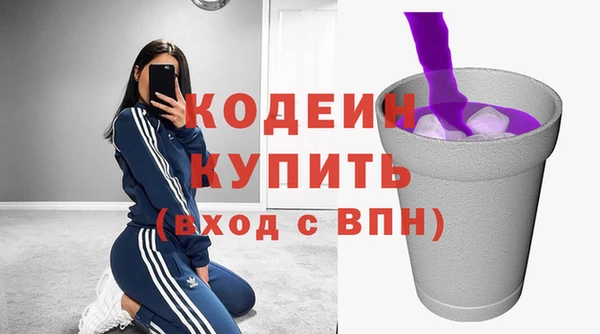 хмурый Инсар