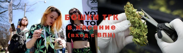хмурый Инсар