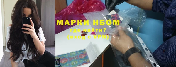 хмурый Инсар