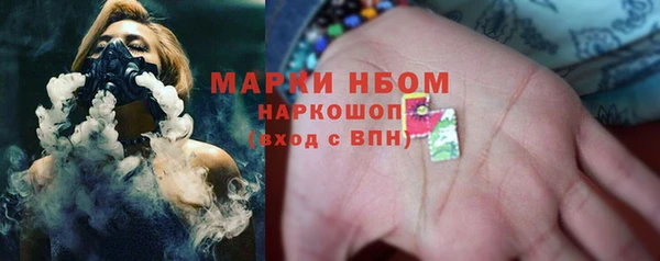 хмурый Инсар