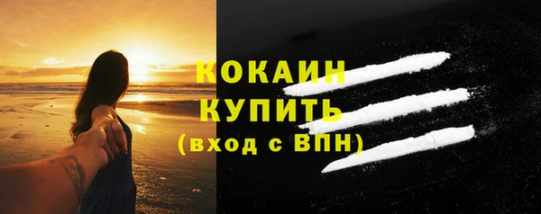 хмурый Инсар