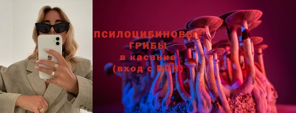 гидропоника Инта