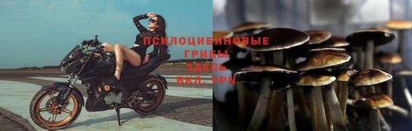 гидропоника Инта
