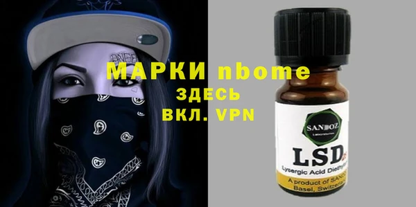 хмурый Инсар