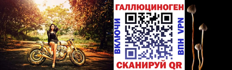 Псилоцибиновые грибы мицелий  Купить  Балашов 
